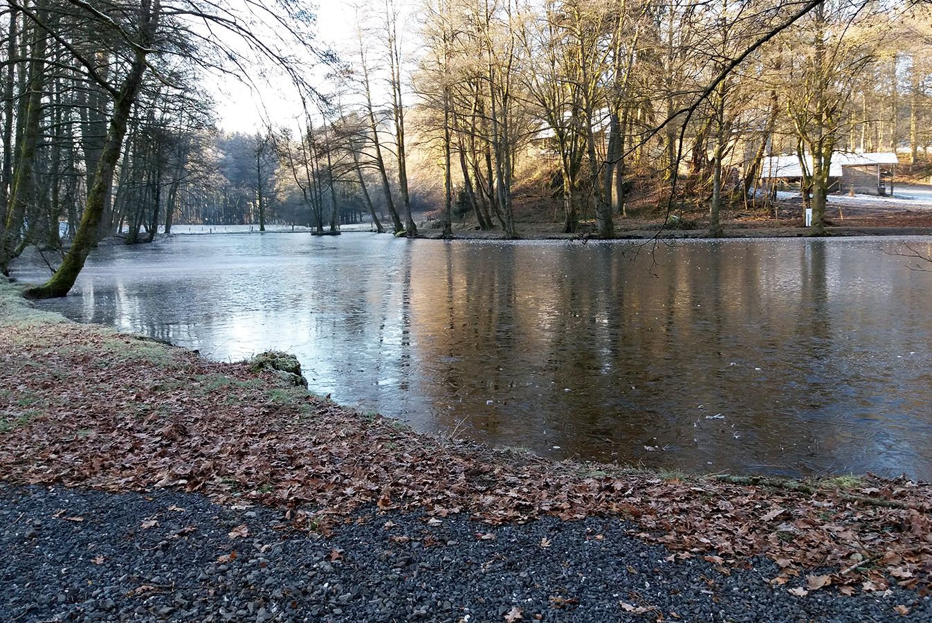 Le Taïaut - Etang 3